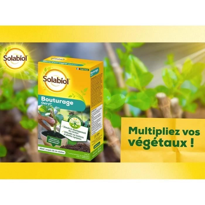 SOLABIOL SOBOUTU40 Taglio osirilico - 40 ml