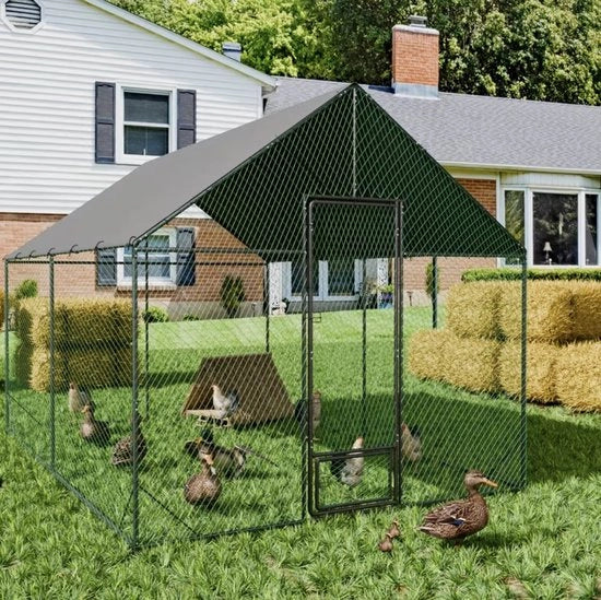 Ingresso per Polli in Acciaio con Copertura per Anatre e Oche per Giardini Esterni 6,20 m²