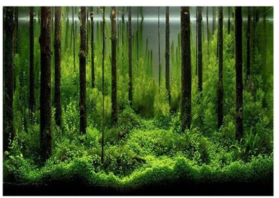 Decorazione per acquario di fondo - acqua resistente - carta decorativa - tema bos - autoadesiva - 61x30cm - materiali di alta qualità - decorazione per acquario