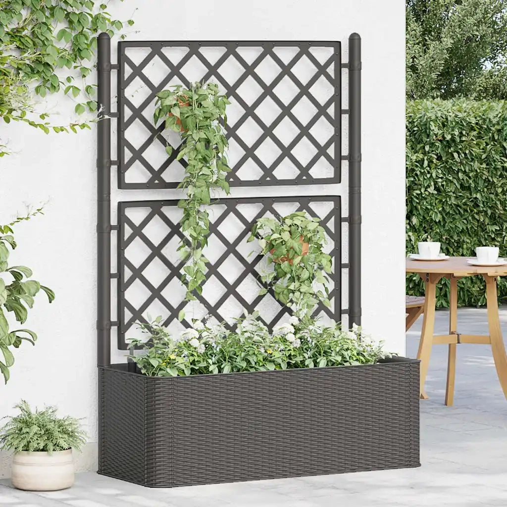 Fioriere | Cassetta per fiori | Letto Rialzato da Giardino Graticcio e Irrigazione Antracite