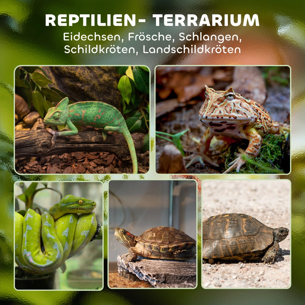 Terrario in Vetro per Rettili ¨C Zephmum ¨C Base Sollevata e Impermeabile