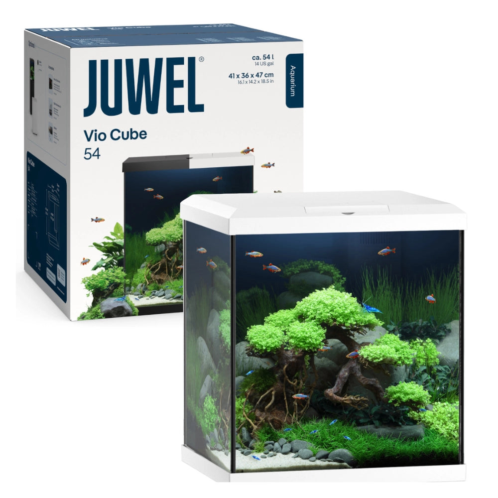 Juwel Vio Cube 54 Bianco cm41x36x47h – Acquario completo 54 L