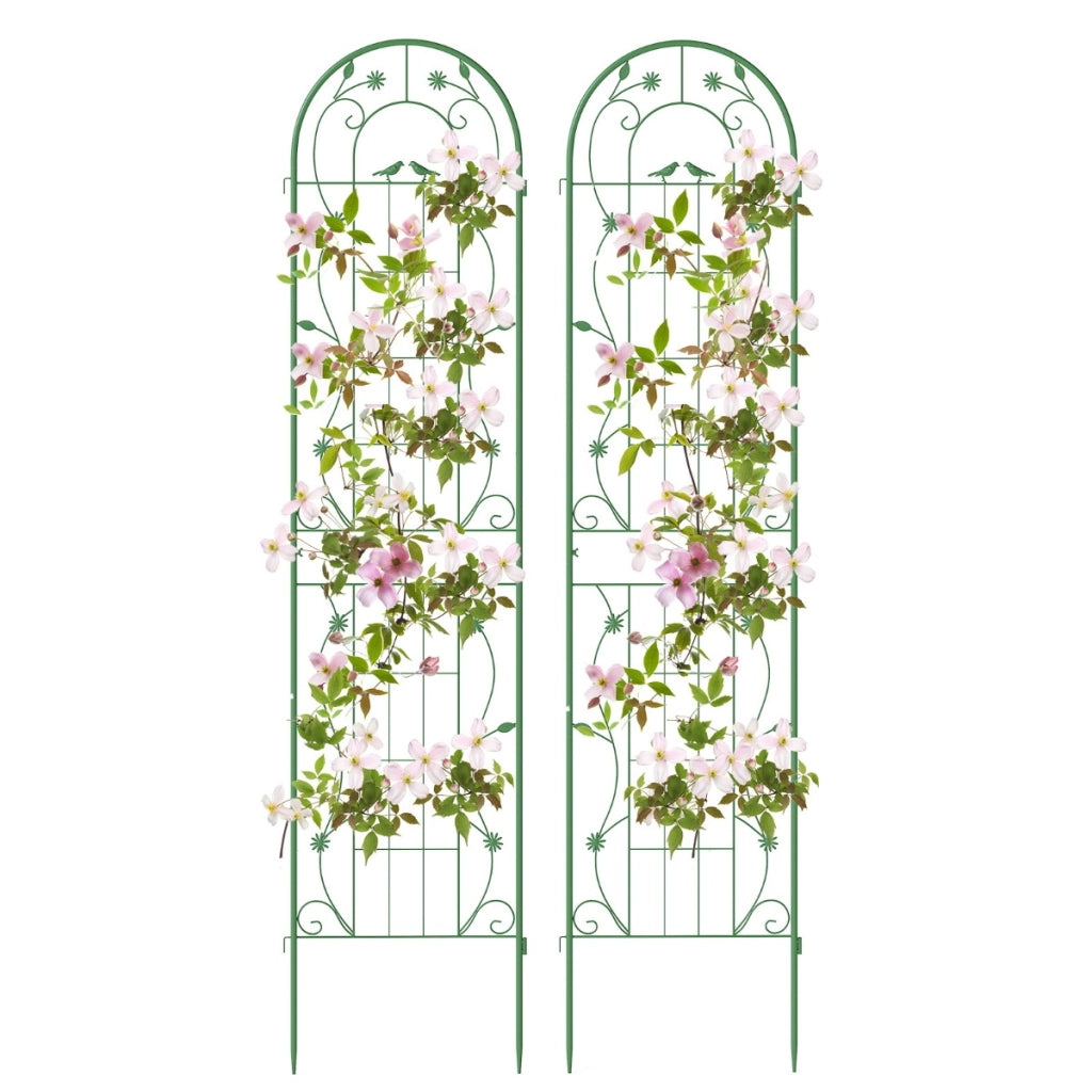 Pacco da 2 di traliccio da giardino in metallo 220x52cm, Supporto decorativo per piante rampicanti rose Verde