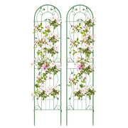 Pacco da 2 di traliccio da giardino in metallo 220x52cm, Supporto decorativo per piante rampicanti rose Verde