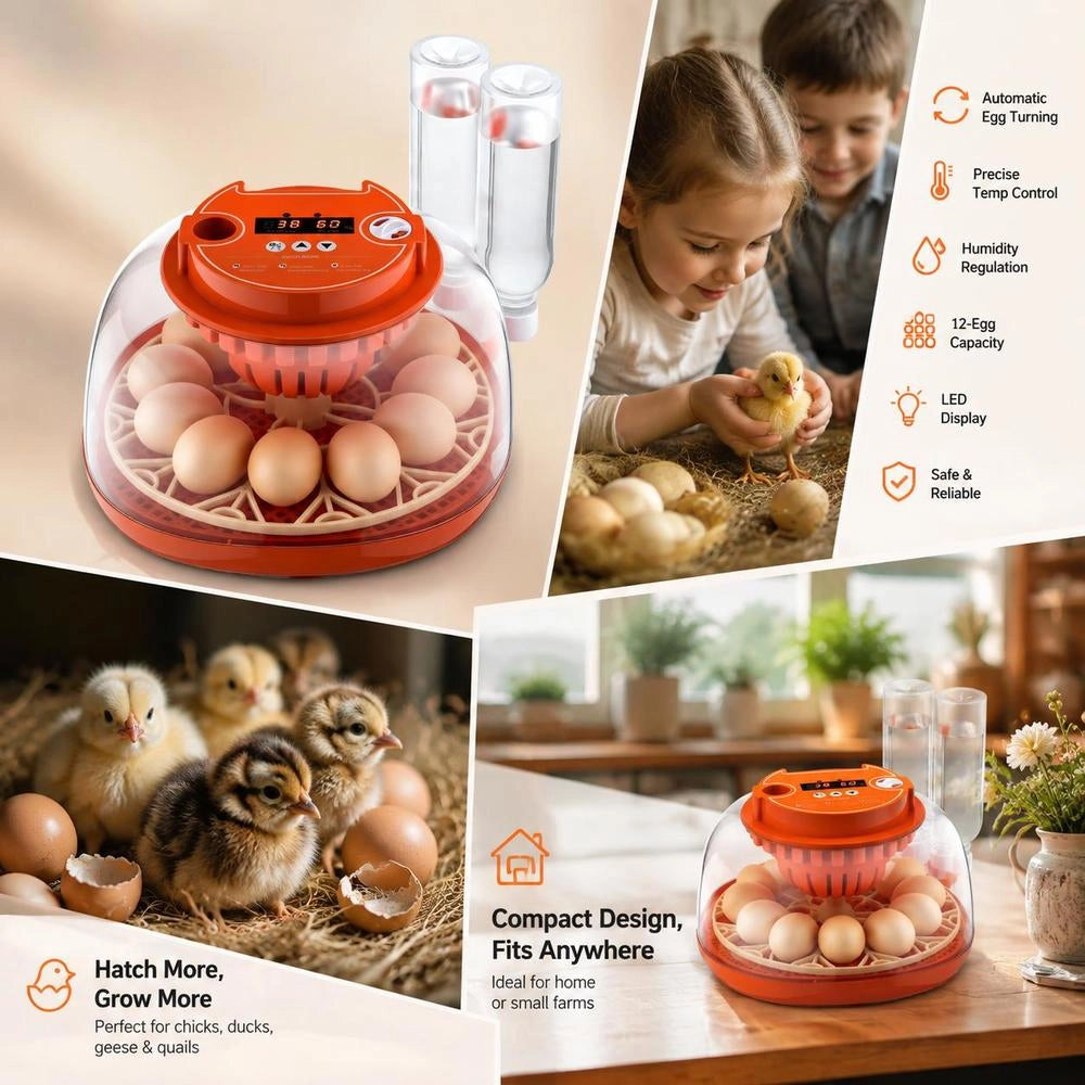 Fully Automatic 12-egg Incubator With Egg Turner, Temperature And Humidity Control, For Hatching Chicks, Ducks, Geese, And Quail.