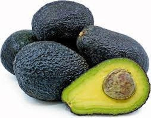Avocado Lamb Hass - Persea Americana Pianta da frutto frutta Foto Reali