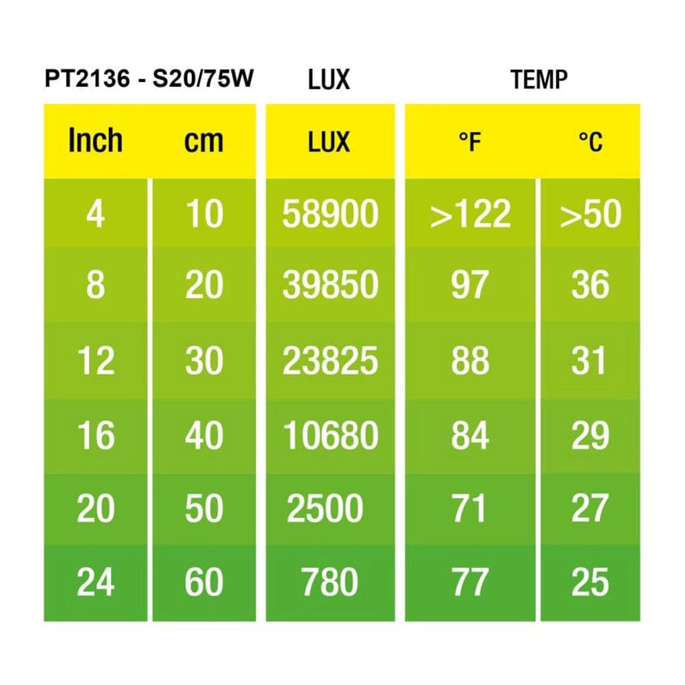 ExoTerra Intense Basking Spot - lampada per terrari a luce concentrata Wattaggio Riscaldatori e lampade terrario: 100W