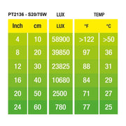 ExoTerra Intense Basking Spot - lampada per terrari a luce concentrata Wattaggio Riscaldatori e lampade terrario: 100W