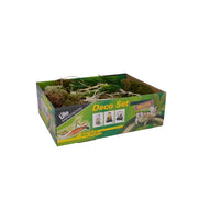 Lucky Reptile Life Experience Deco Set Mantis - Decorazioni Insetti Tropicali