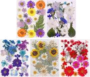 Fiori Secchi - Pressati - Ideali per l'Arte dei Fingernail e il Design con Resina - 5 Temi di Colore - Perfetti per Progetti DIY - 100 Pezzi