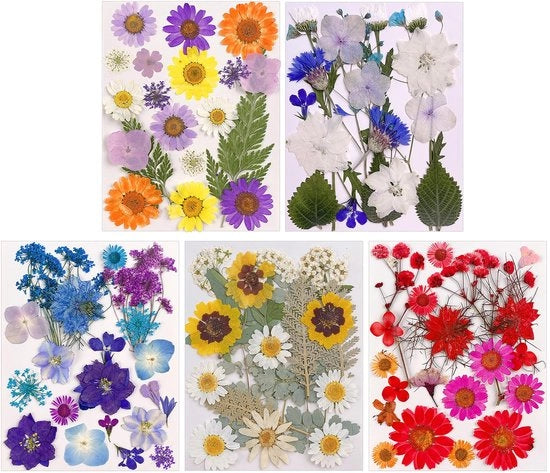 Fiori Secchi - Pressati - Ideali per l'Arte dei Fingernail e il Design con Resina - 5 Temi di Colore - Perfetti per Progetti DIY - 100 Pezzi
