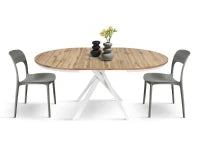 PAZZO DESIGN Tavolo Allungabile con Gambe Incrociate rotondo, Made in Italy, Basamento bianco, Rovere rustico