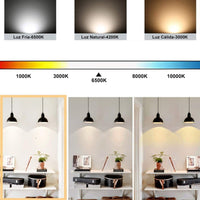 2 PZ Lampada A Led, Lampadina E14 P45 6W Bianco Freddo 6500K 570 Lumen