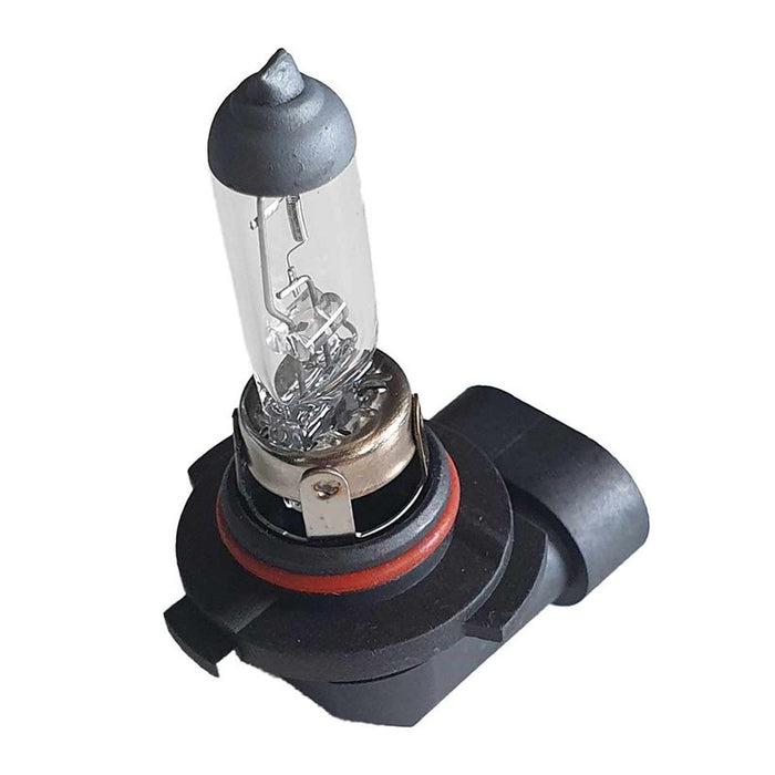 2 PZ Lampada Alogena Auto H10 12V 42W PY20d Trasparente Per Fendinebbia