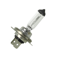 2 PZ Lampada Alogena Auto H18 12V 65W PY26d-1 Per Ford Ecosport Kuga