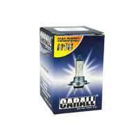 2 PZ Lampada Alogena Auto H18 12V 65W PY26d-1 Per Ford Ecosport Kuga