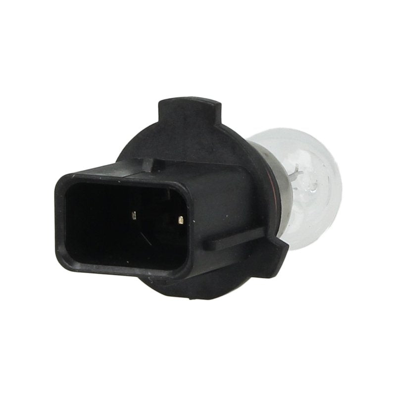 2 Lampade Alogene PSX26W 12V 26W PG18.5d-3 Clear Compatibile con Philips 12278C1