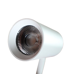 2 Pezzi Faro Bianco Mono Fase 30W 3000K