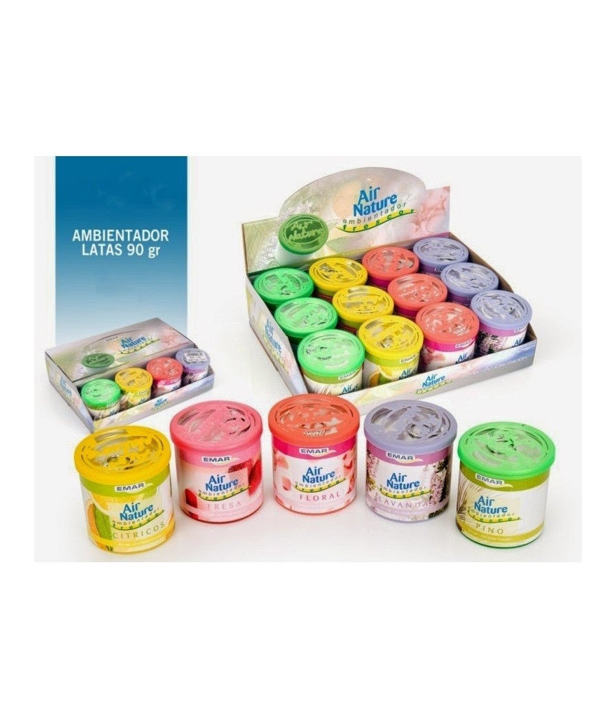 2 Pezzi Barattoli Fragranza Gel Diffusore Per Ambiente 90g Caduno Deodorante         