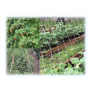 Reti Ortofrutta In Nylon Sostengreen