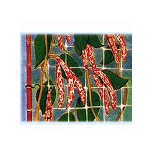 Reti Ortofrutta In Nylon Sostengreen