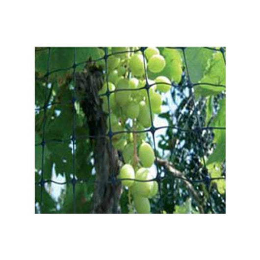 Reti Difengreen Ortofrutta Per Uccelli