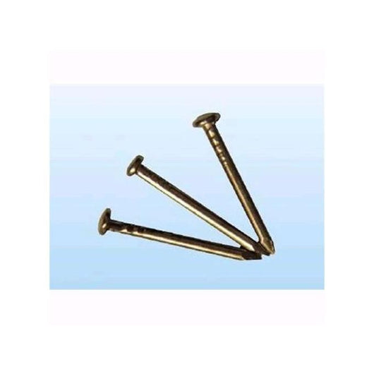 Punte Ottonate Testa Bombata 12X20