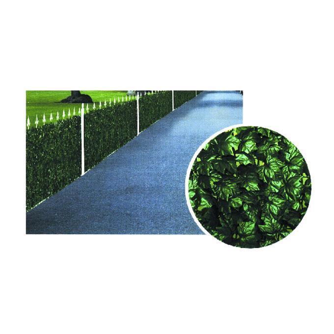 Il Campo Siepe Edera H 100 M 3 - 03473