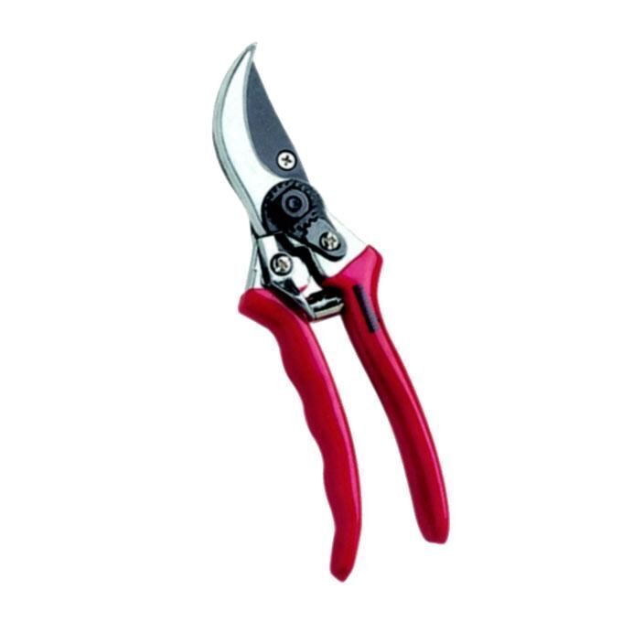 Ausonia Svettatoio Classic