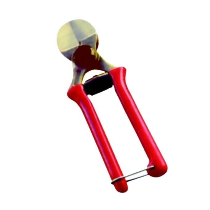 Il Campo Svettatoio Doppio Taglio 200