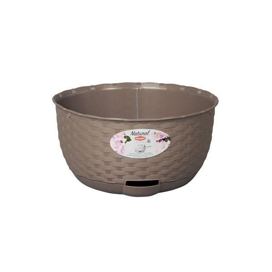 CIOTOLA DM.30 NATURAL TORTORA