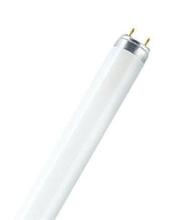 Osram Lumilux T5 Short lampada fluorescente 8 W G5 Bianco freddo