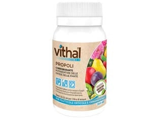 PROPOLI VITHAL BIO  ml.250    VITHAL