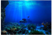 Decorazione per acquario 3D - Effetto retroilluminato - Materiale PVC - Impermeabile - Resistente - Facile da applicare