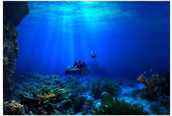Decorazione per acquario 3D - Effetto retroilluminato - Materiale PVC - Impermeabile - Resistente - Facile da applicare