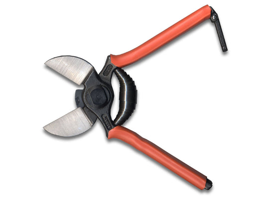 Lisam Forbice Vigna 19cm 1B