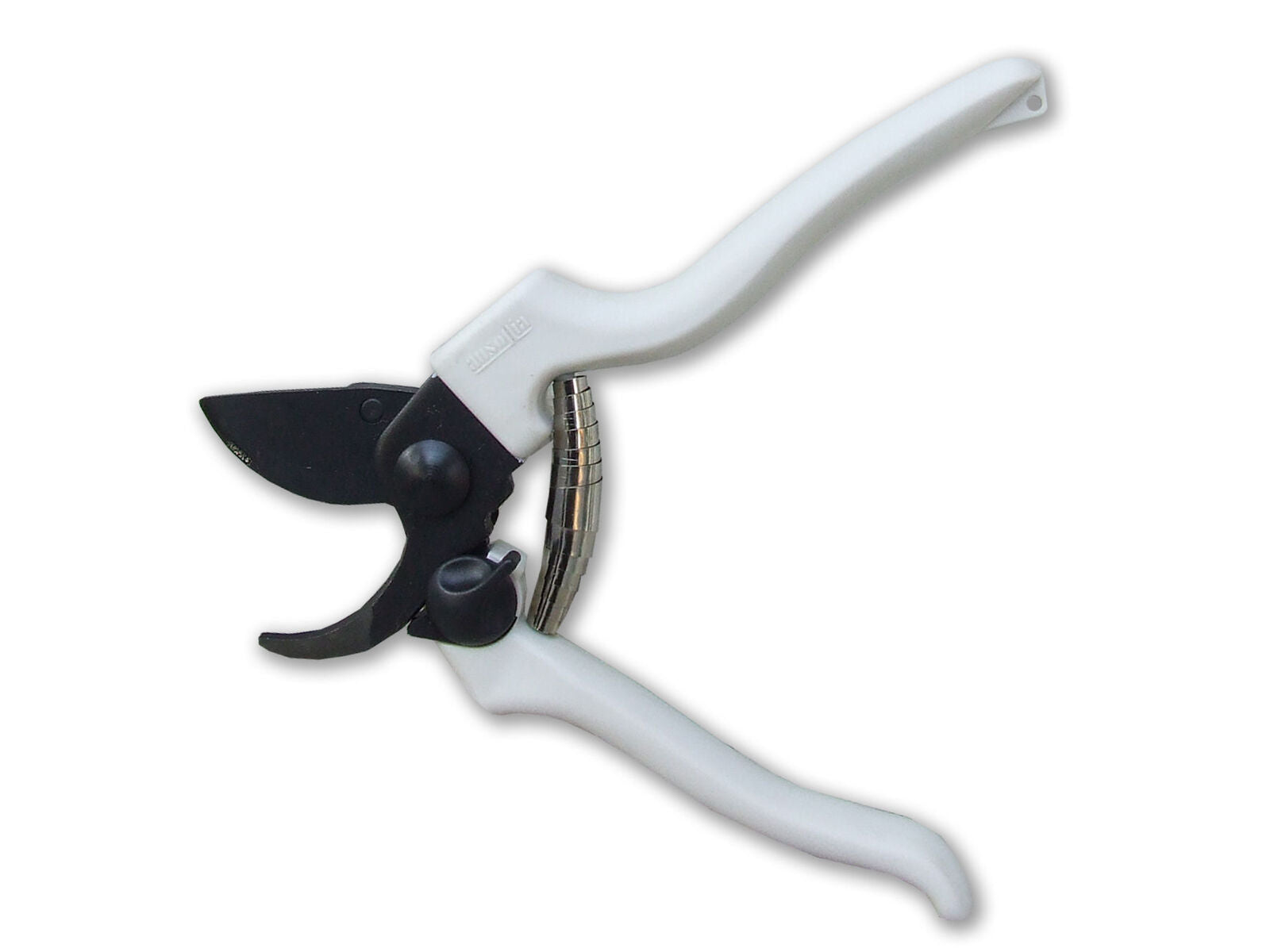 Ausonia 31145 Forbice Vigna 19cm Teflon