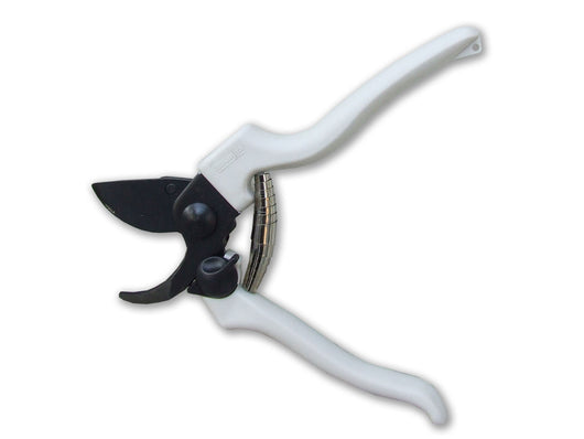 Ausonia 31145 Forbice Vigna 19cm Teflon