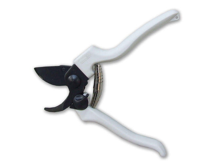 Ausonia 31145 Forbice Vigna 19cm Teflon