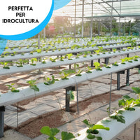 ZOMA Fibra di cocco per piante di qualità superiore, Terriccio universale composto al 100% di fibra di cocco pura, Terra per piante professionale ideale per coltivazione idroponica - 20 litri