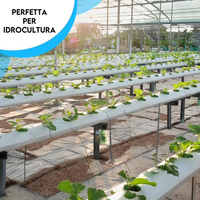 ZOMA Fibra di cocco per piante di qualità superiore, Terriccio universale composto al 100% di fibra di cocco pura, Terra per piante professionale ideale per coltivazione idroponica - 6 Litri