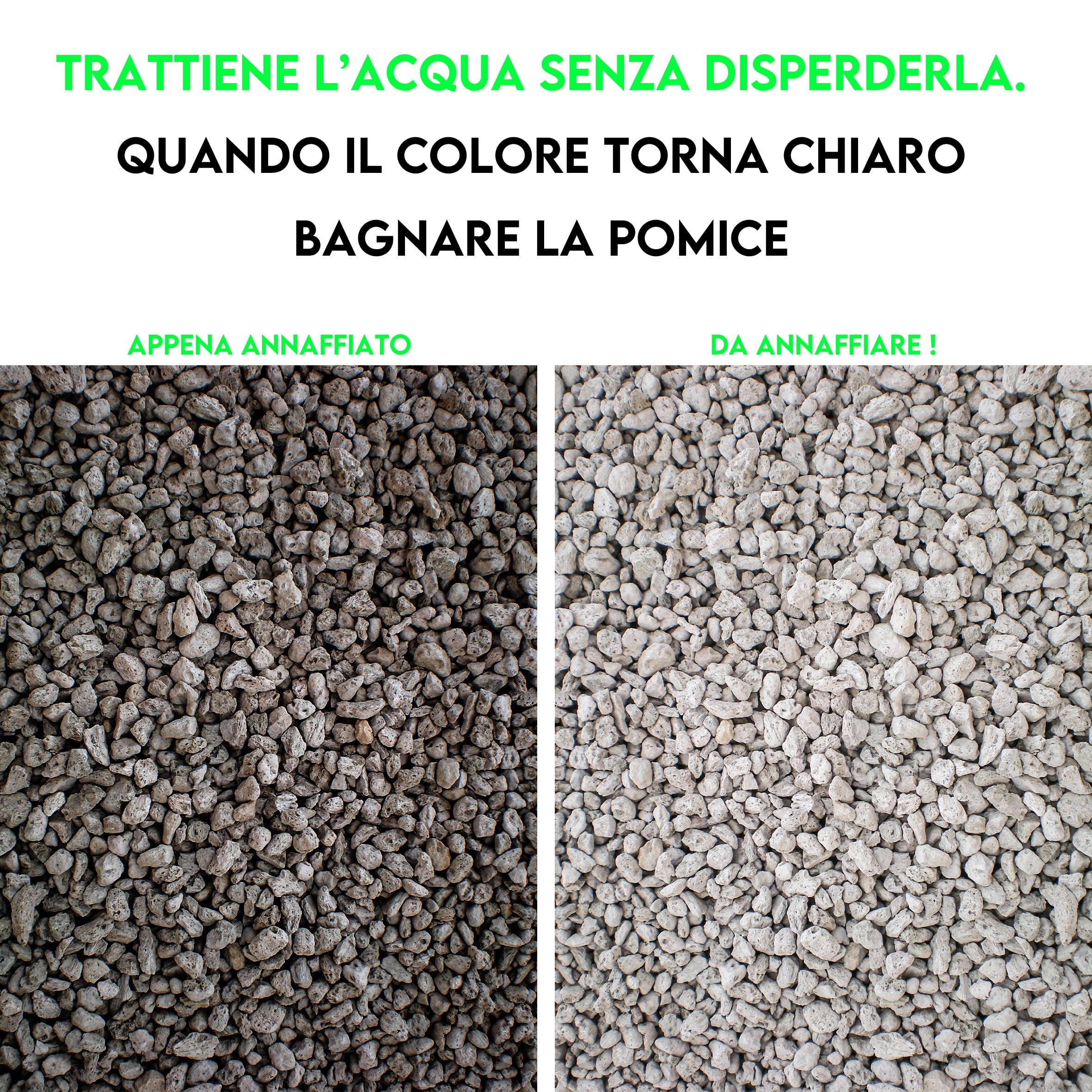 ZOMA Garden Pomice per Piante, Ideale per Piante Grasse Vere, Bonsai e Orchidee Pietra Inerte per Tutti i Substrati, Alta capacità di Drenaggio Formato 6 L