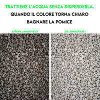 ZOMA Garden Pomice per Piante, Ideale per Piante Grasse Vere, Bonsai e Orchidee Pietra Inerte per Tutti i Substrati, Alta capacità di Drenaggio Formato 6 L