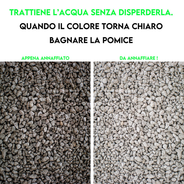 ZOMA Garden Pomice per Piante, Ideale per Piante Grasse Vere, Bonsai e Orchidee Pietra Inerte per Tutti i Substrati, Alta capacità di Drenaggio Formato 6 L