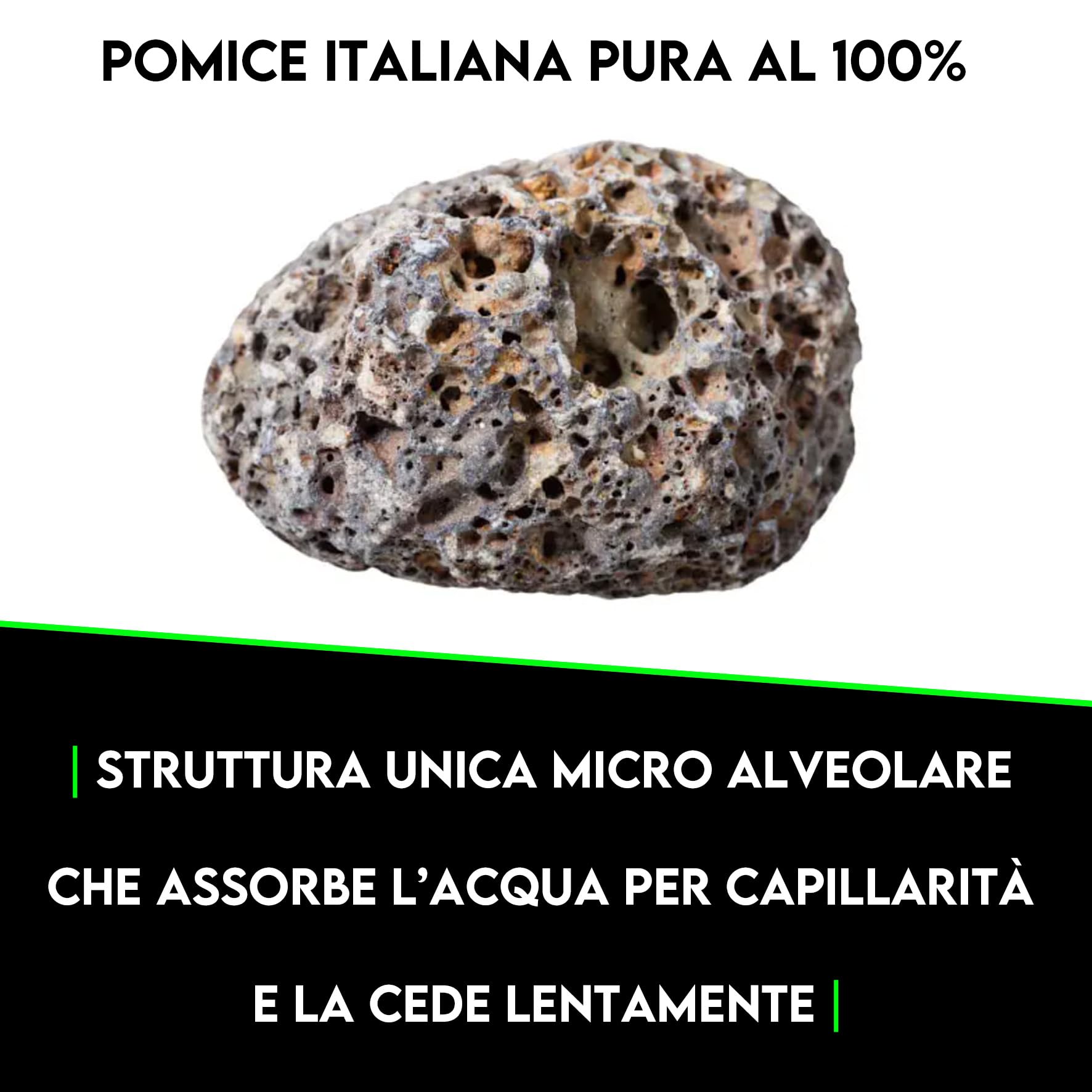 ZOMA Garden Pomice per Piante, Ideale per Piante Grasse Vere, Bonsai e Orchidee Pietra Inerte per Tutti i Substrati, Alta capacità di Drenaggio Formato 6 L