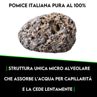 ZOMA Garden Pomice per Piante, Ideale per Piante Grasse Vere, Bonsai e Orchidee Pietra Inerte per Tutti i Substrati, Alta capacità di Drenaggio Formato 6 L