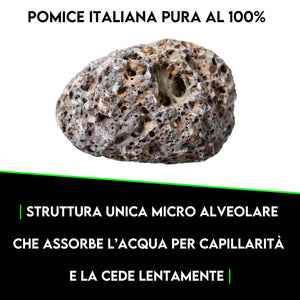 ZOMA Garden Pomice per Piante, Ideale per Piante Grasse Vere, Bonsai e Orchidee Pietra Inerte per Tutti i Substrati, Alta capacità di Drenaggio Formato 6 L
