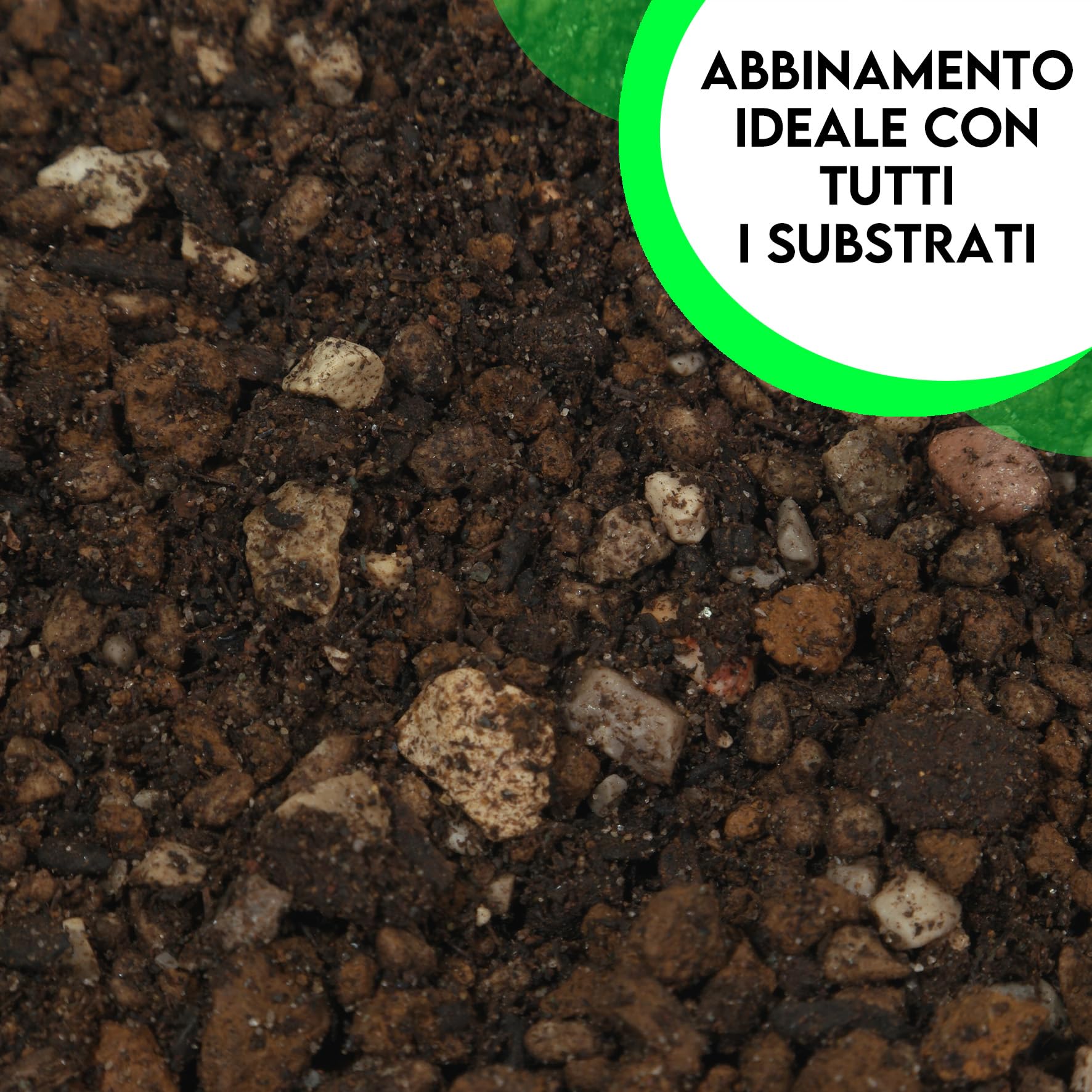 ZOMA Garden Pomice per Piante, Ideale per Piante Grasse Vere, Bonsai e Orchidee Pietra Inerte per Tutti i Substrati, Alta capacità di Drenaggio Formato 6 L