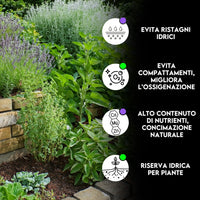 ZOMA Terriccio per Basilico e Piante Aromatiche - Ideale per Vasi, Evita Ristagni Idrici - Terriccio piante aromatiche con Humus di Lombrico, privo di Fertilizzanti Chimici - 15 Kg