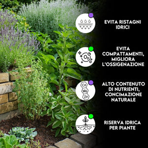 ZOMA Terriccio per Basilico e Piante Aromatiche - Ideale per Vasi, Evita Ristagni Idrici - Terriccio piante aromatiche con Humus di Lombrico, privo di Fertilizzanti Chimici - 15 Kg